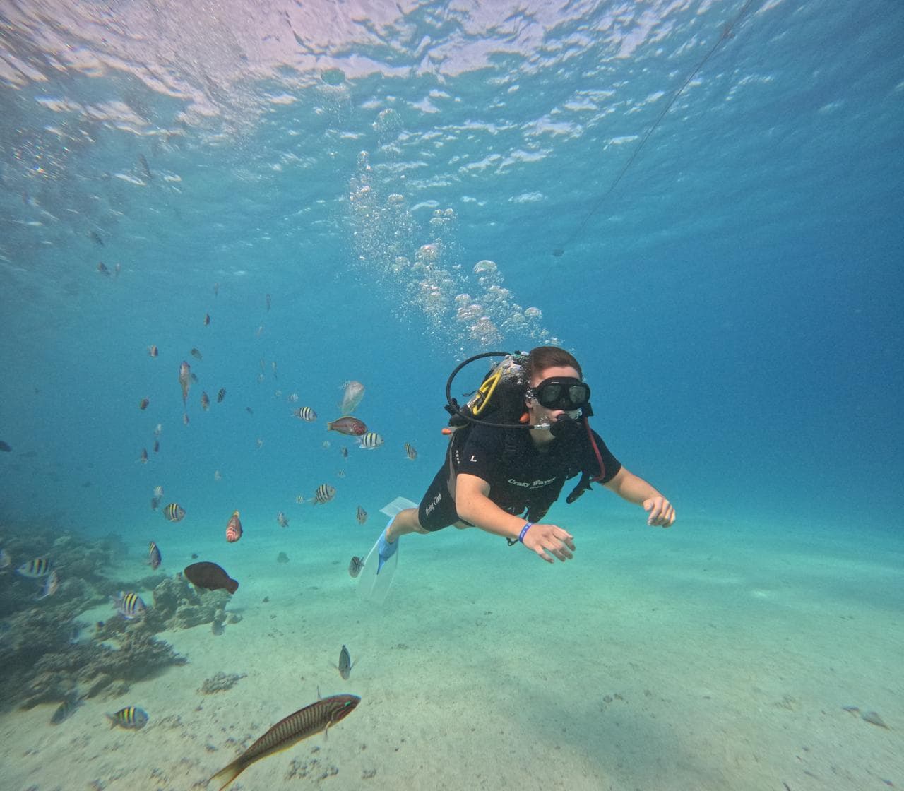 Intro diving experience in the Red Sea